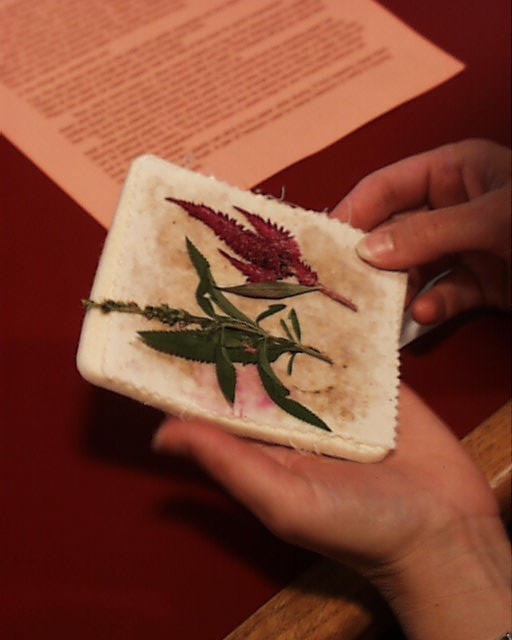 Pressing Flowers CSB SJU Saint John s Community Garden Society